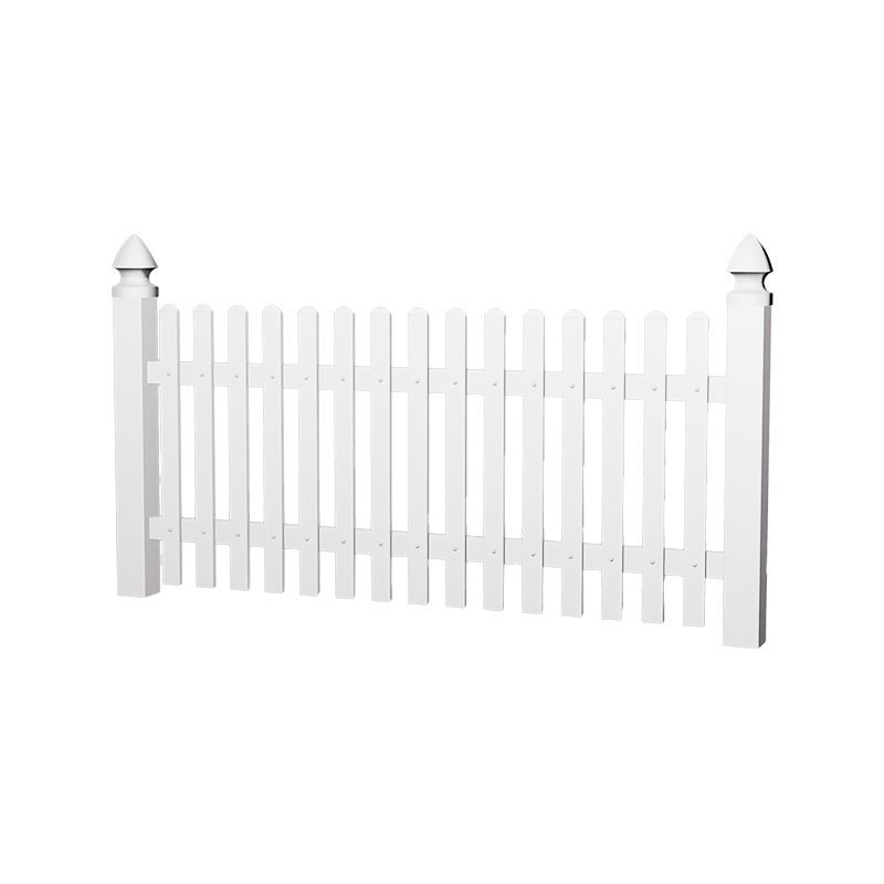 HAE1 انتخاب گوش سگ سنتی